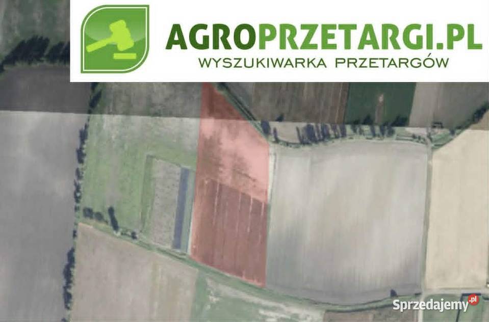 Dzierżawa 671 ha gruntu rolnego 67100m2 Wolsztyn