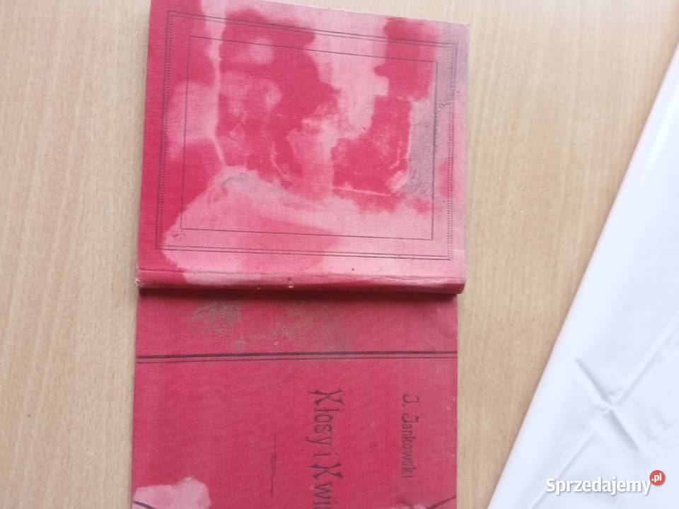 Józef Jankowski Kłosy i kwiaty 1909 Miechów sprzedam