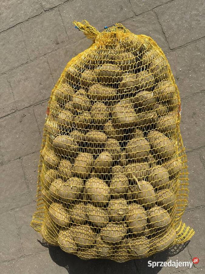 Sprzedam ziemniaki wielkości sadzeniaka