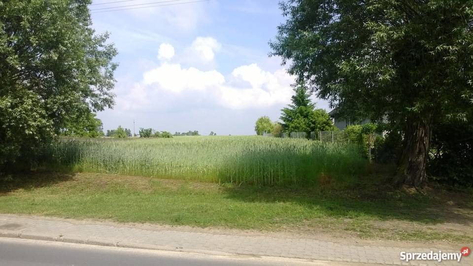 Działka na sprzedaż Dębno sprzedam