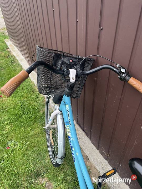 Niebieski rower Alpina Radecznica