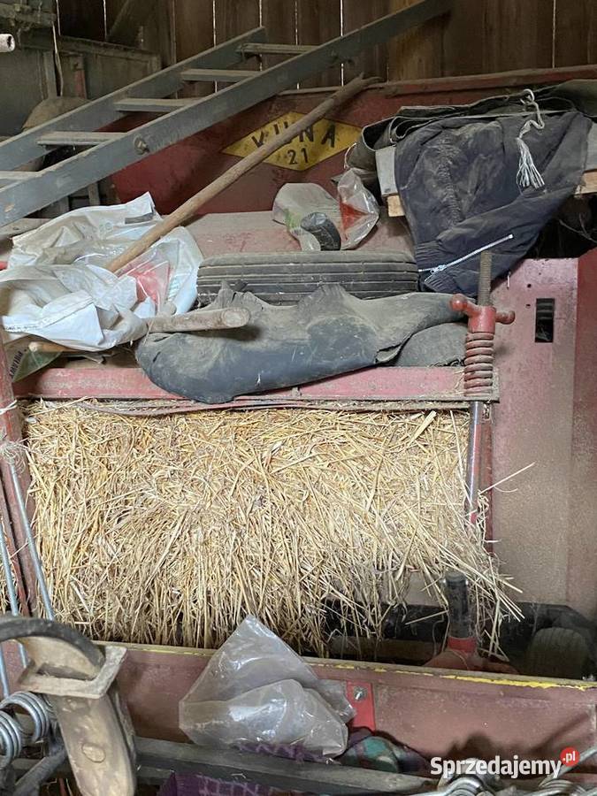 Prasa KUNA 21 świętokrzyskie Radkowice-Kolonia