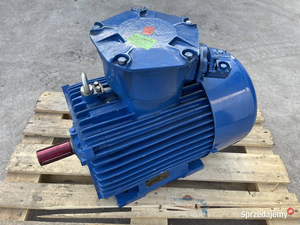 Silnik elektryczny 22 30 37 45 55 75 90 132 160 wielkopolskie Koło