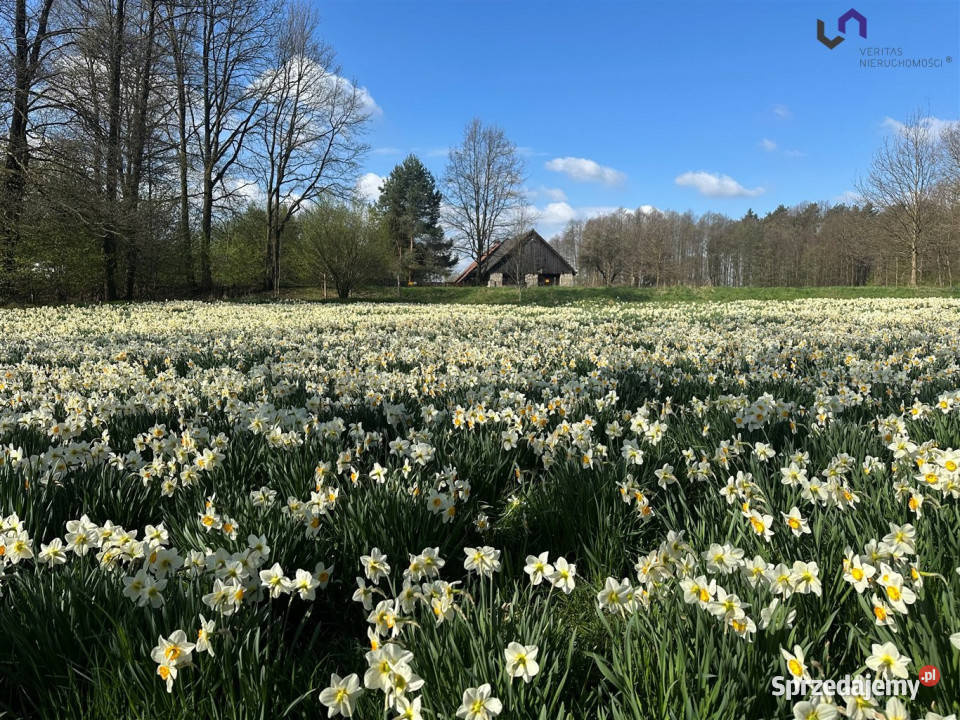 Sprzedaż gruntu Gostyń 2007m2