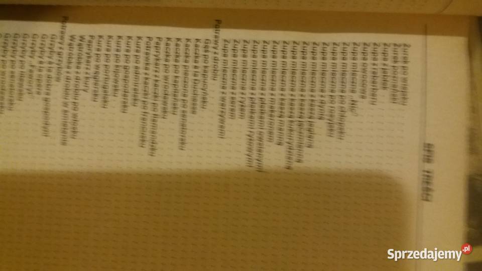 Kuchnia turystyczna Dębski unikatowe książki Antykwariat Warszawa