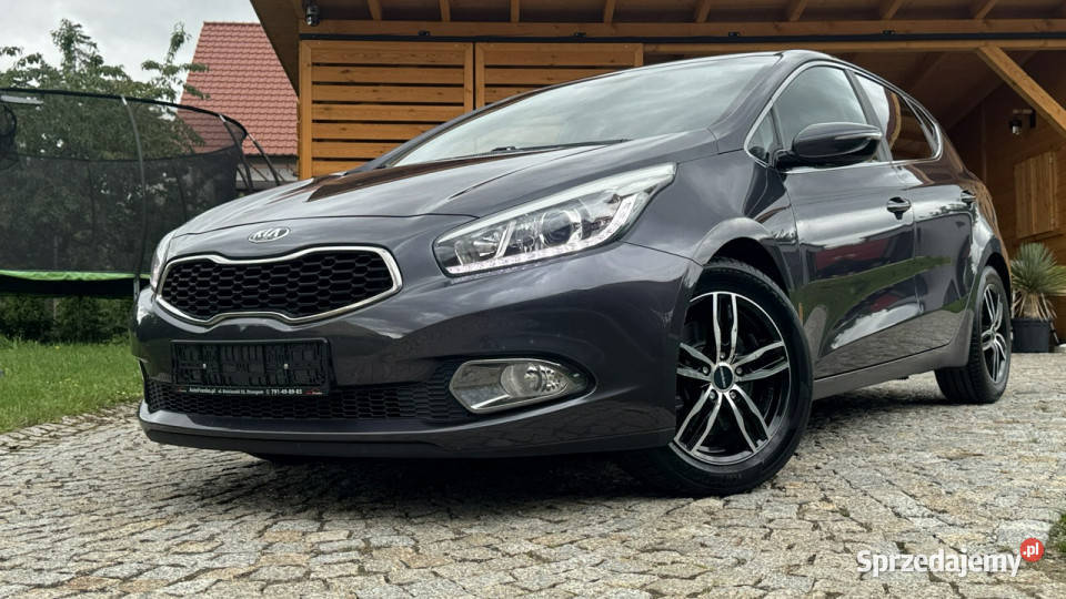 Kia Ceed 16 CRDI 110 z Niemiec Kamera cofania serwisowany w ASO dolnośląskie Strzegom