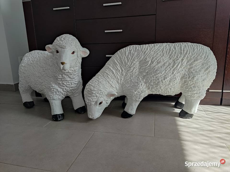 Owca DUŻA XXXL biały Straszęcin