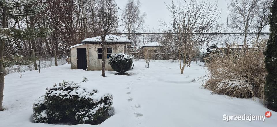 Prawo do dzierżawy działki Elbląg