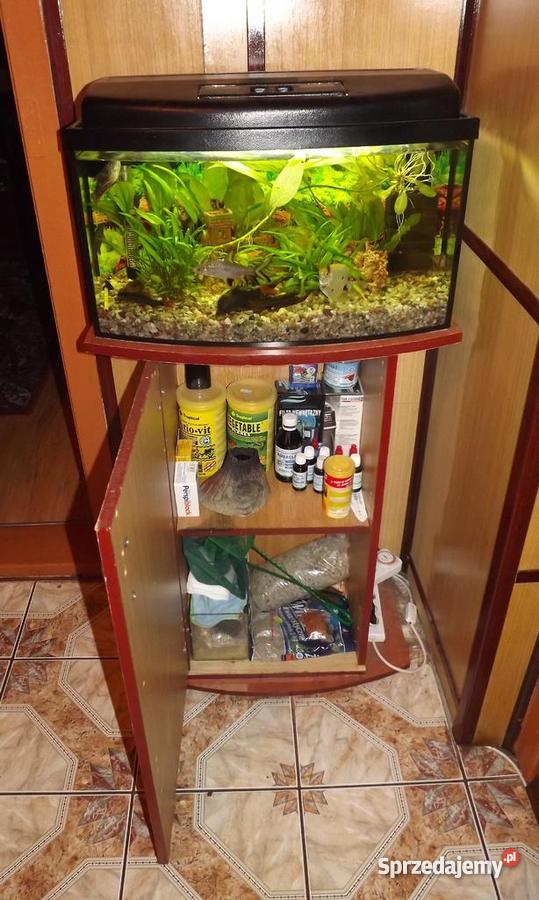 AKWARIUM 60l szafka Myszków
