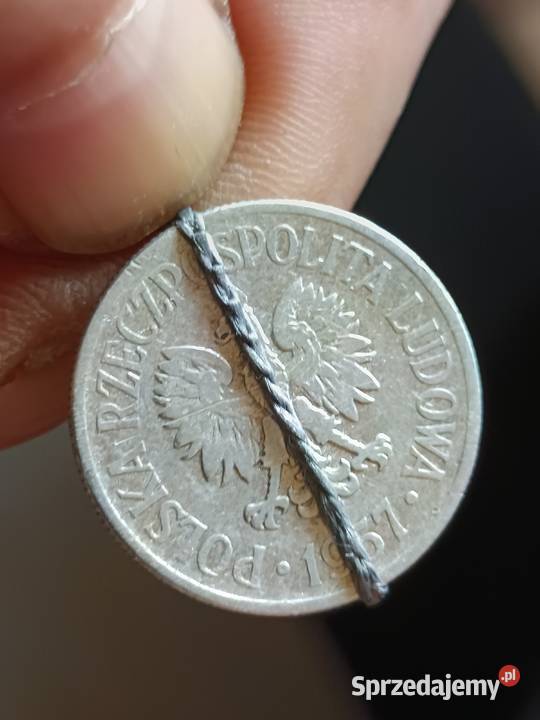 Sprzedam monete 50 groszy 1957 lekka skretka zaq lubelskie Chełm