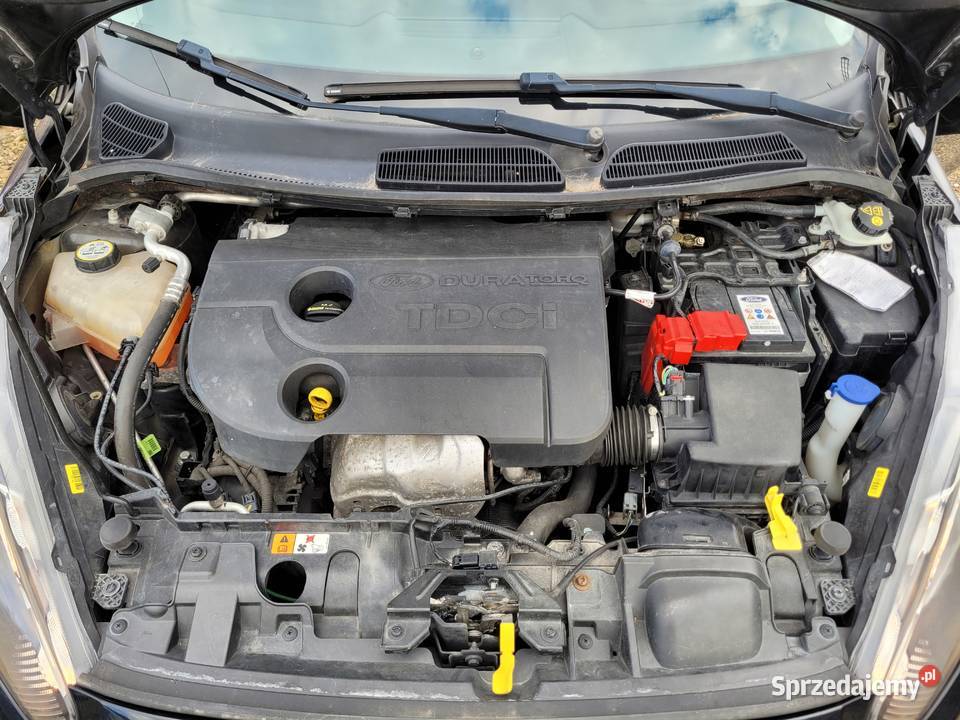 Ford Fiesta Mk7 lifting 15 TDCI ładny stan Gniewczyna Łańcucka