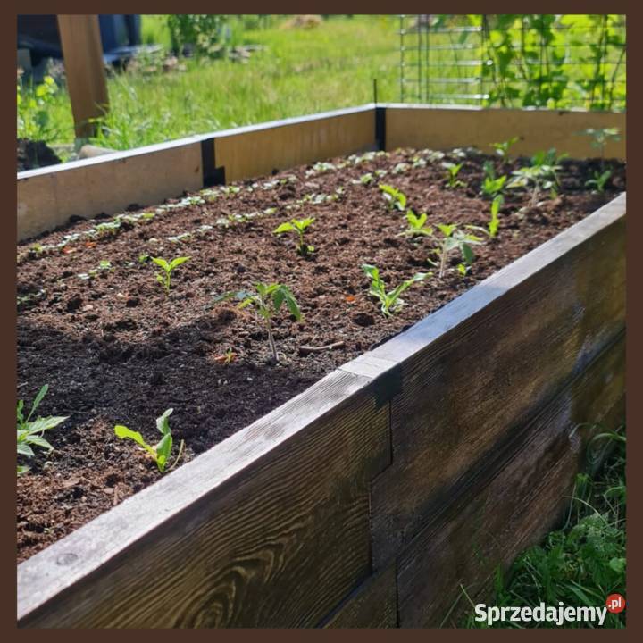 Kwietnik donica warzywnik betonowe drewno irys Łódź