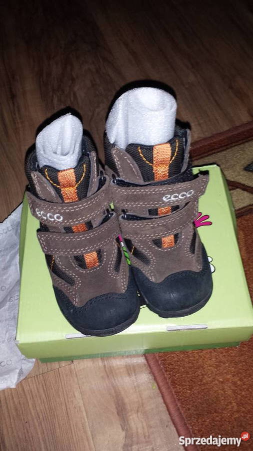 buty ecco