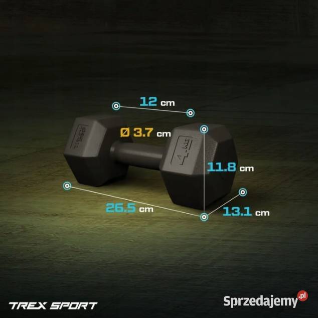 Sport Hantle 2x4 Warszawa sprzedam