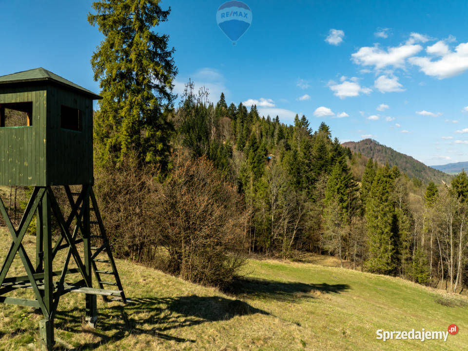 Działka widokowa Szlachtowa ok 4395 m polna