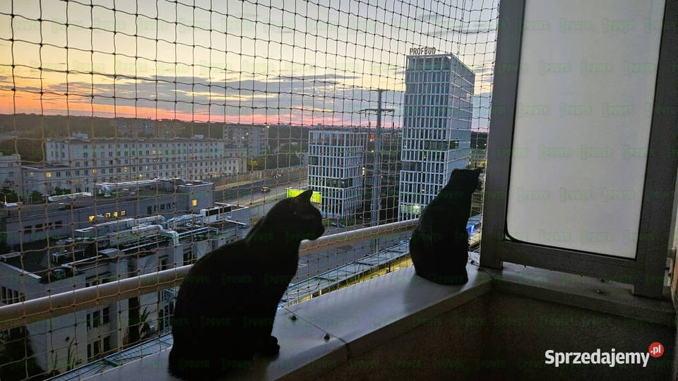 Siatka na balkon przeciw ptakom z montażem Warszawa