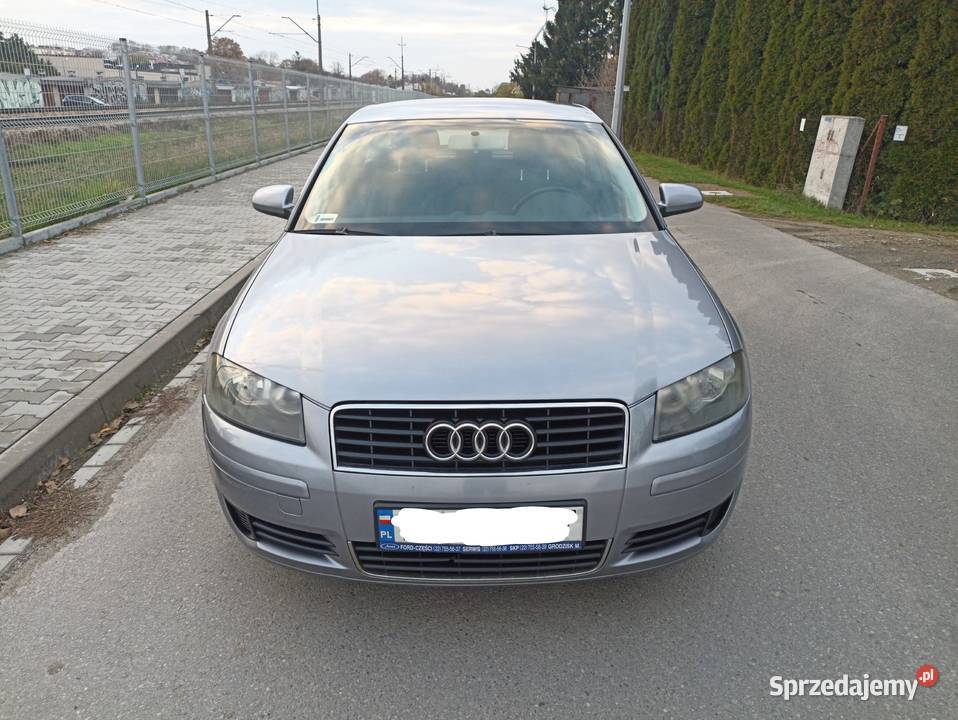 Audi a3 8p 16Benzyna 101 2004 2 właściciel ABS lubelskie Świdnik