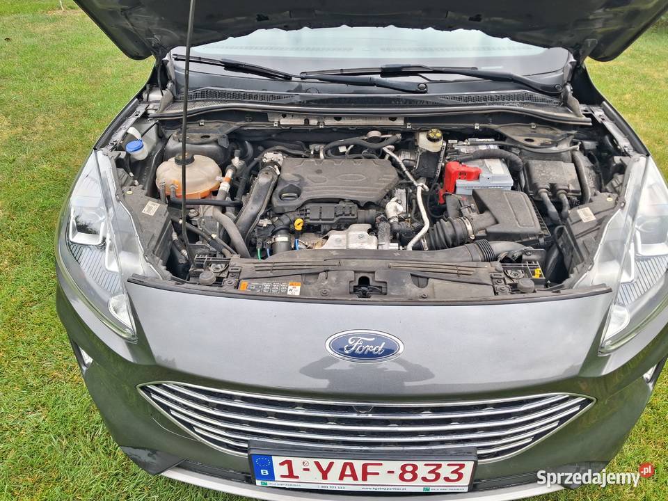 Ford Kuga 2020 15TDI automat bezwypadkowy pomorskie Chojnice