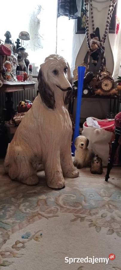 CHARTA AFGAŃSKI CONTINETNTAL POWOJENNY MODEL 83 beżowy wielkopolskie Swarzędz