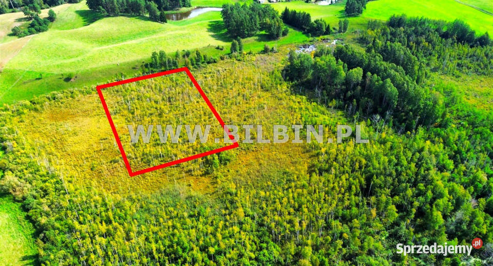 Działka Stara Dębszczyzna 46512m2 asfalt