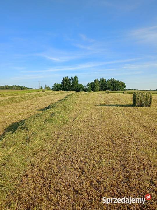 Baloty sianokiszonki 125125 pokos 2025