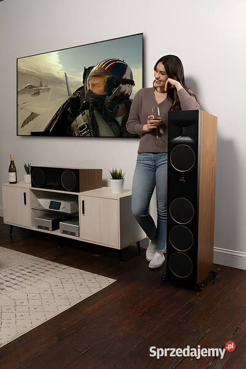 Głośnik podłogowy MartinLogan Motion XT F200 Warszawa