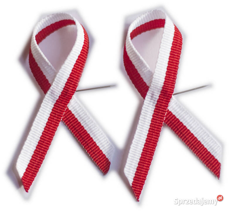 kotyliony narodowe na święto niepodległości 100 małopolskie Brzesko