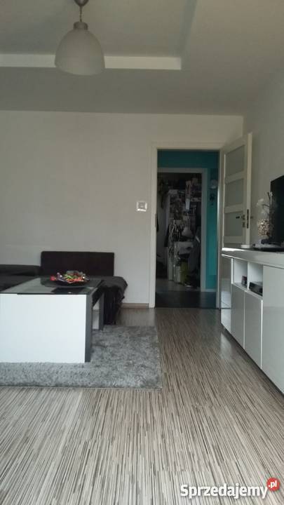 mieszkanie 4 pok Gliwice Waryńskiego 1p nowa pom. użytkowe