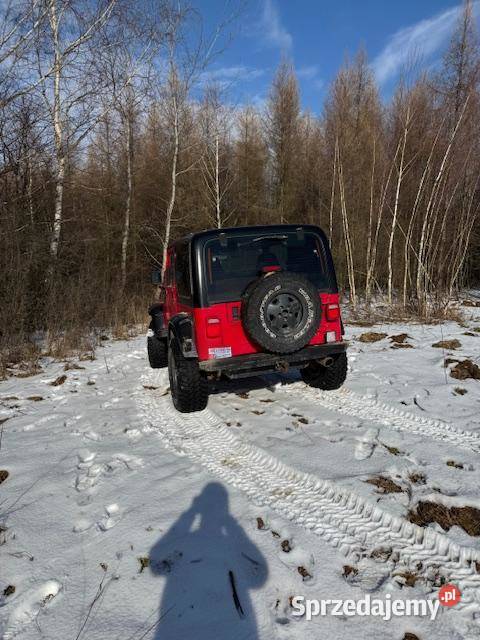 Jeep Wrangler 40 TJ nieuszkodzony Kańczuga