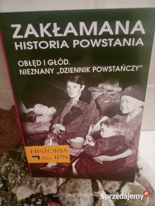 Zakłamana historia powstania Warszawskiego Warszawa