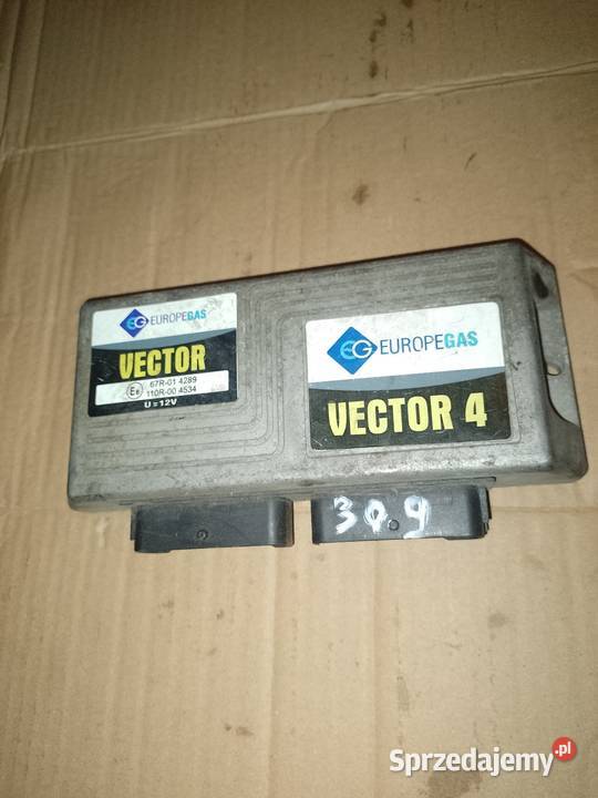 LPGVECTOR 4 309 osobowe Jastrzębia Góra