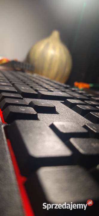 Genesis klawiatura Klawiatury i myszy Konary