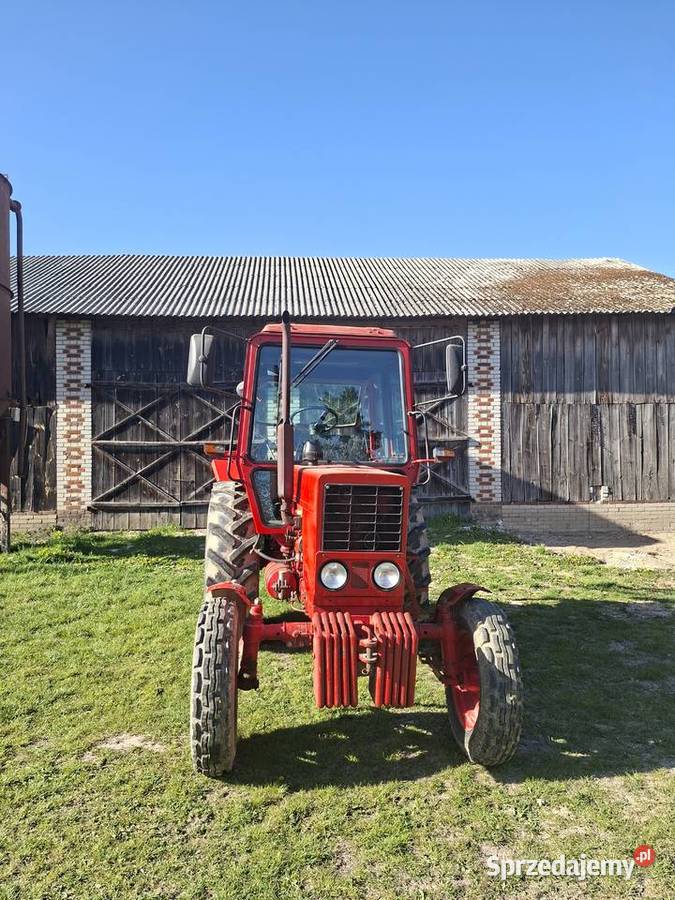 Mtz 80 stan Rybczewice Pierwsze