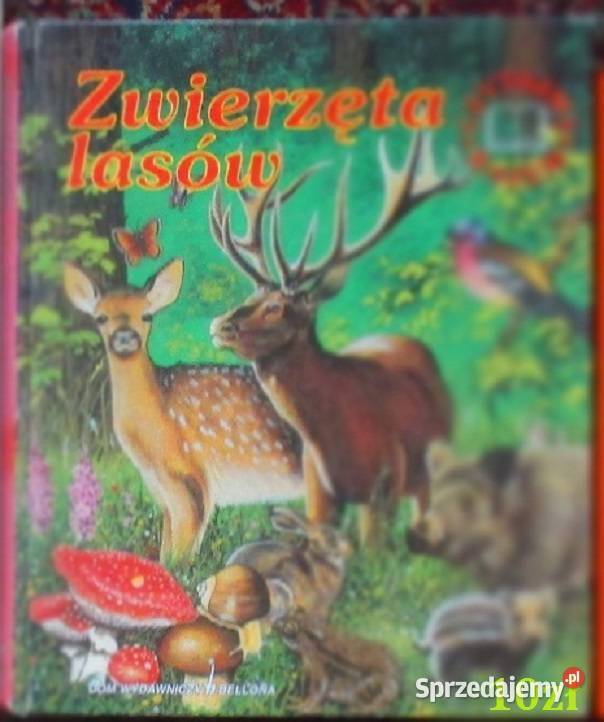 Głos przyrody Kowalewska Kownacka przyroda Łódź