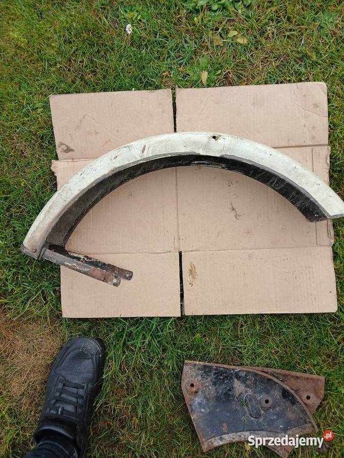 Blotnik przedni komar łódzkie Pajęczno