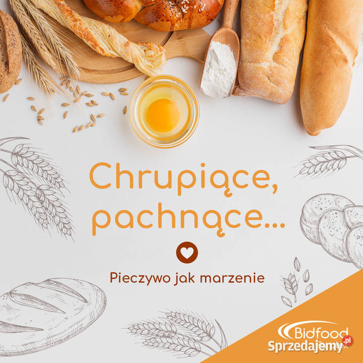 Grafik z doświadczeniem Ulotki Social Media Rzeszów reklama