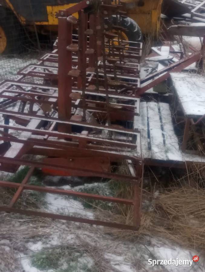 Sadzarka do ziemniaków podkiełkowanych