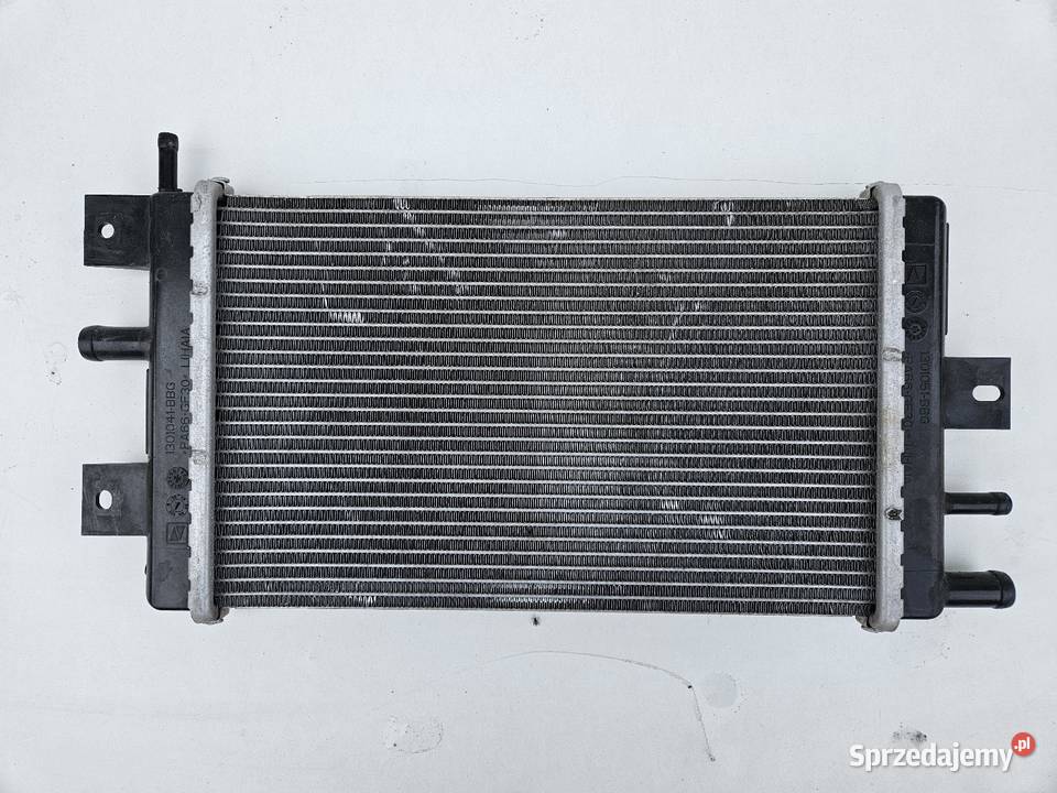 DACIA SPRING CHŁODNICA WODY 1301041BBG Międzychód