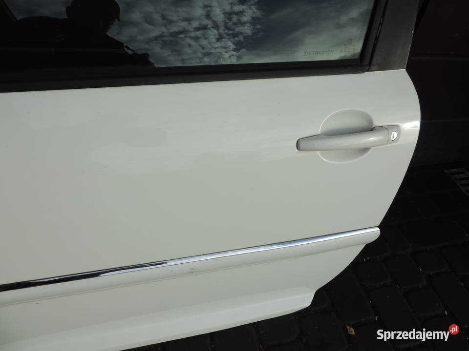 DRZWI LEWY PRZÓD PEUGEOT 207 FL 3D KOLOR EWPA osobowe małopolskie Nowy Sącz