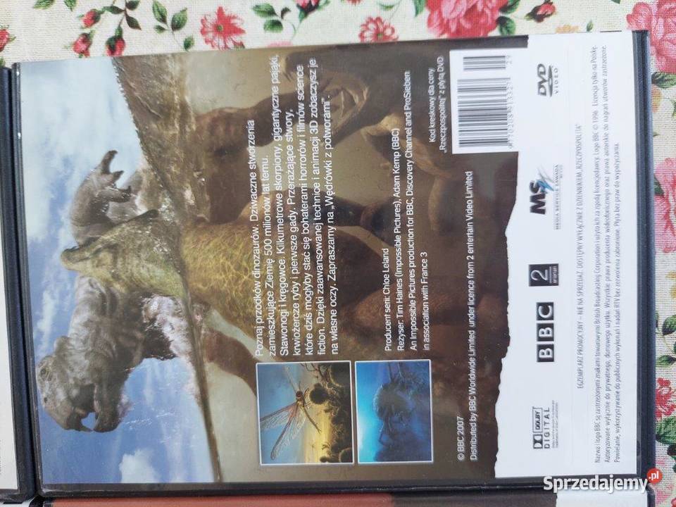 Zestaw 4 płyt CD dinozaury Poznań
