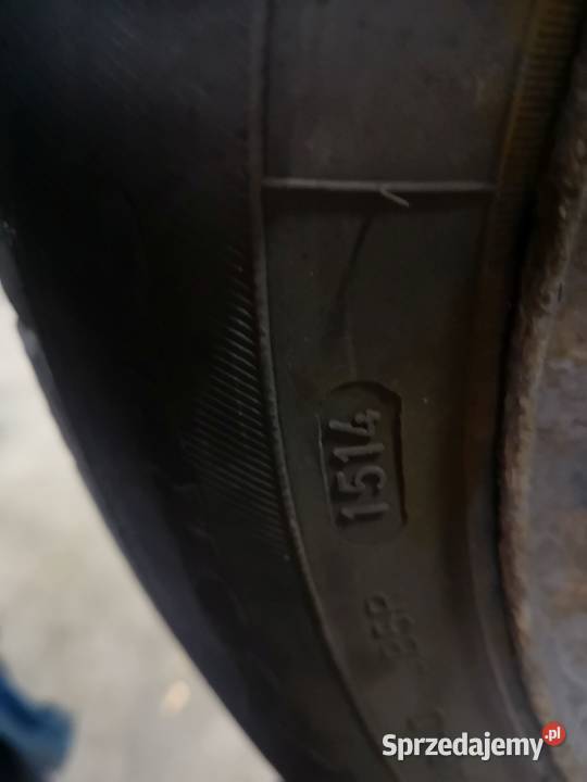 Opony Zimowe 18565 R15 88T Plus Felgi Stalowe Skomielna Biała