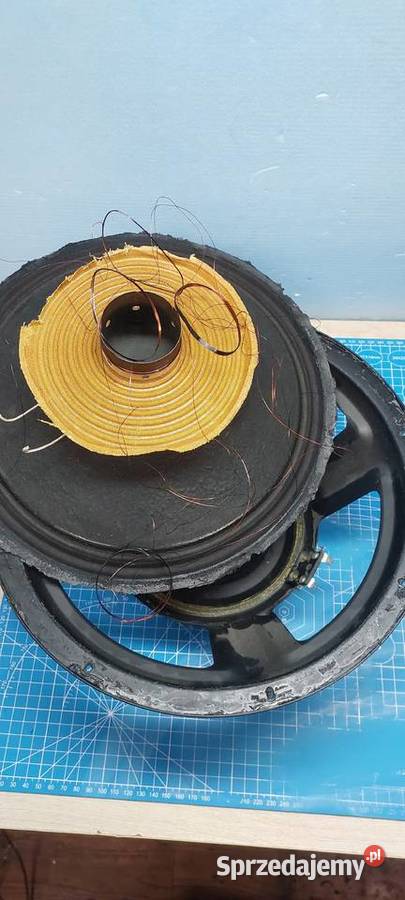 Naprawa Regeneracja Głośników Wymiana Zawieszeń Starachowice