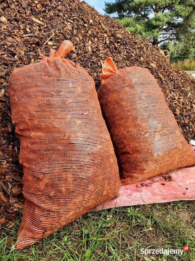 Zrębka liściasta z drzew owocowych jabłoń Warszawianka sprzedam