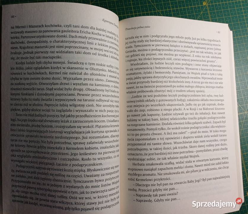 Prowincja pełna snów Katarzyna Enerlich miękka Kraków