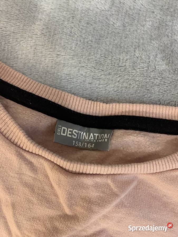 Bluza bez kaptura Dont care NOWA podkarpackie Jasło