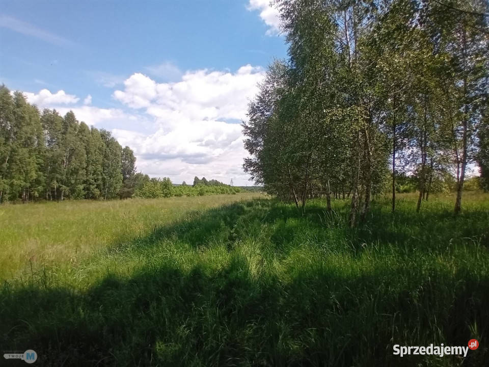 Działka Zagnańsk 820m2 woda Sprzedaż Nieruchomości
