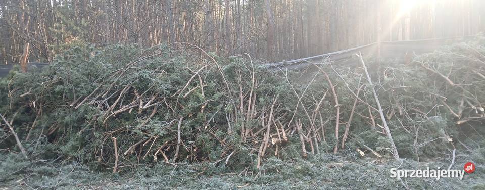 Gałęzie na opał Radzymin sprzedam