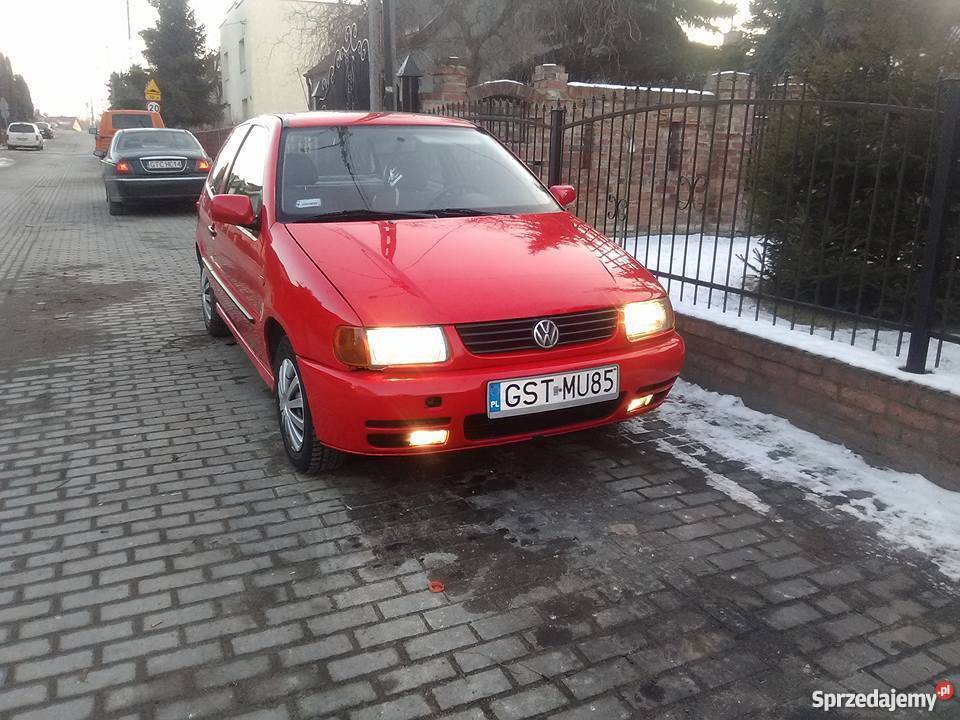 VW Polo 16 Starogard Gdański