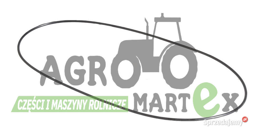 10906575 10906575 ORING JCB nieuszkodzony Wichrów