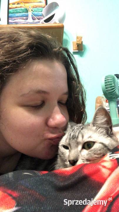 Petsitter opiekna Twojego pupila Warszawa